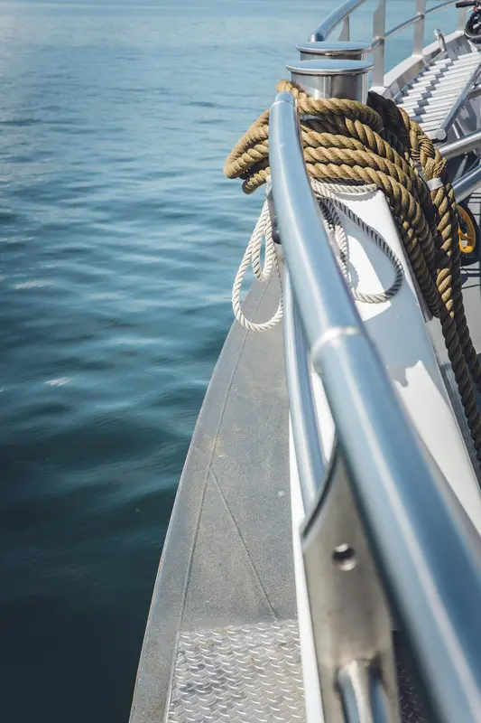Bluefin.Boats Premium Domain